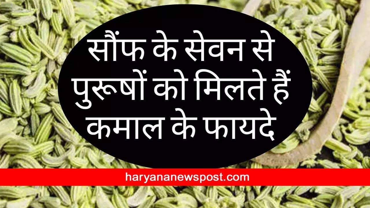 fennel seeds benefits for men sexual life consum with milk at every night saunf se shighrapatan ka ilaj