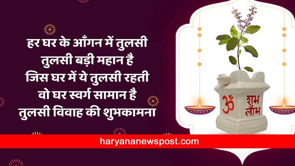 Happy Tulsi Vivah पर शेयर करें Wishes Images और Photos इन खूबसूरत तस्वीरों से भेजें तुलसी विवाह की शुभकामनाएं