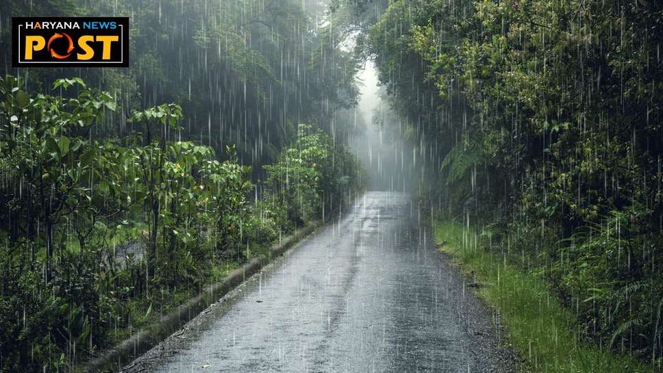 Haryana Rain: हरियाणा में आज से बारिश की संभावना, पहली फरवरी से मिल सकती है कोहरे से निजात 