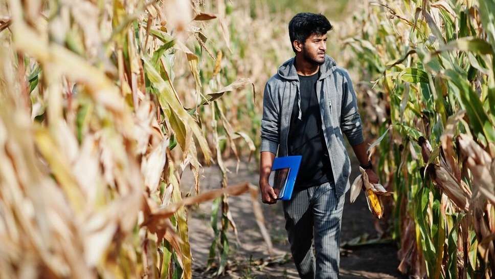PM Kisan Samman Nidhi : किसान भाइयों के लिए गुड न्यूज, जल्द जारी होगी 16वीं किस्त