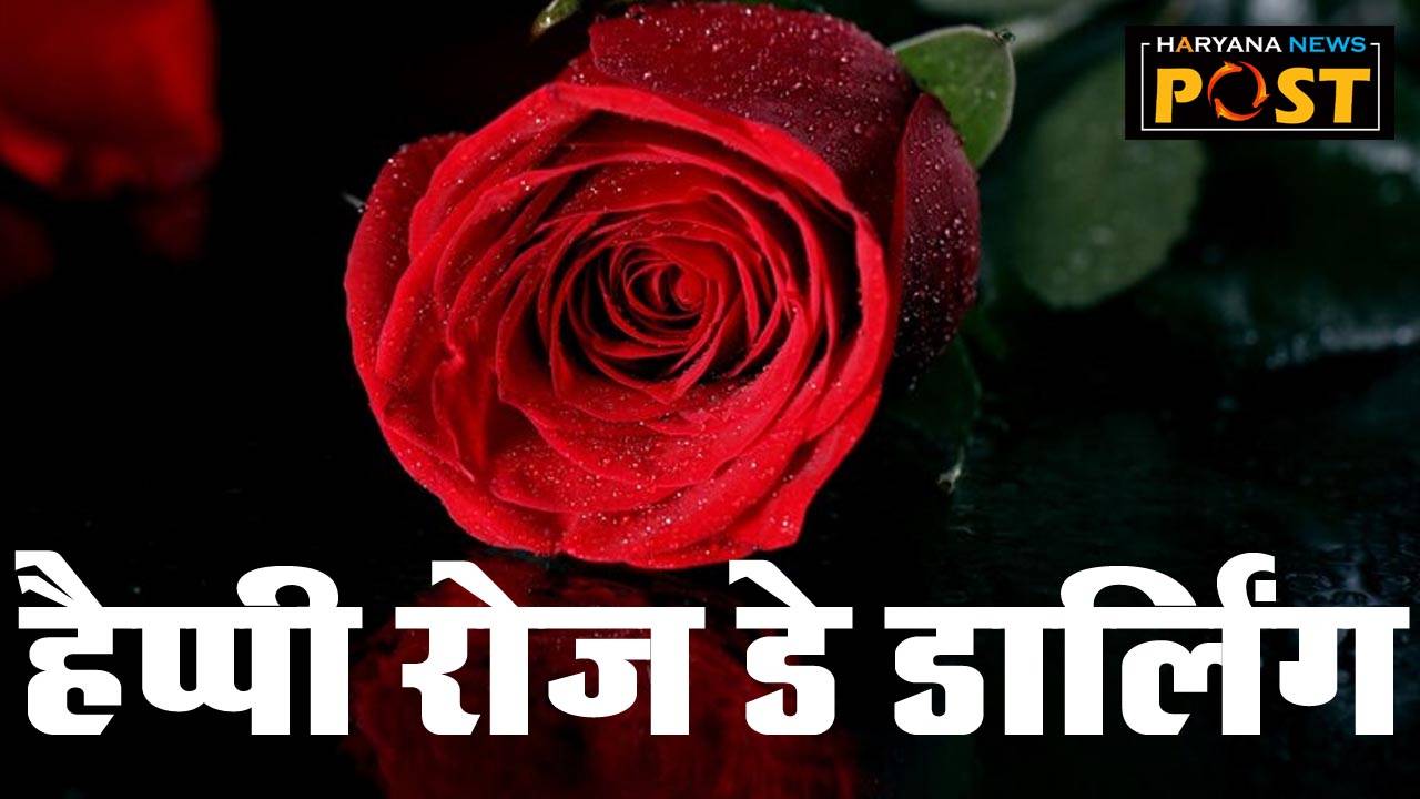 Rose Day 2024,  Rose Day Wishes,  Rose Day Shayari,  Rose Day Messages,  Rose Day Greeting Messages,  Rose Day Shayari,  Shayari for Lover,  Rose Day Shayari,  Shayari for Girlfriend,  Shayari for Boyfriend,